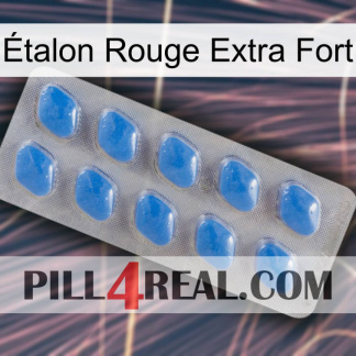 Étalon Rouge Extra Fort 22